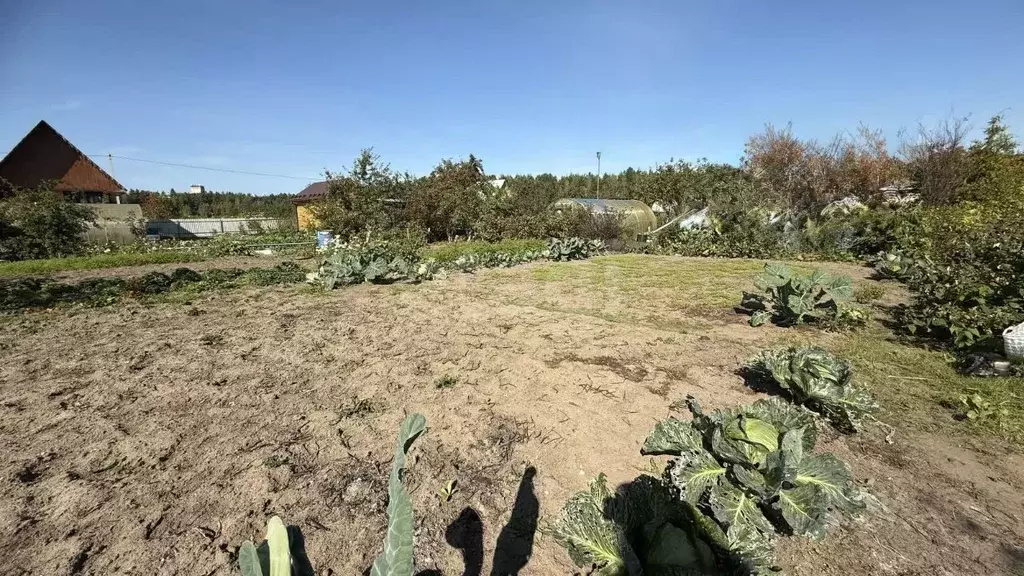 Участок в Владимирская область, Ковровский район, Клязьминское с/пос, ... - Фото 1