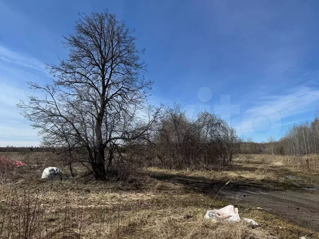 Участок 5 га (СНТ, ДНП) - Фото 0
