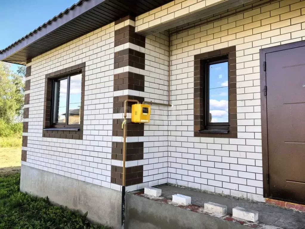 Дом в Тамбовская область, Тамбовский муниципальный округ, д. ... - Фото 1