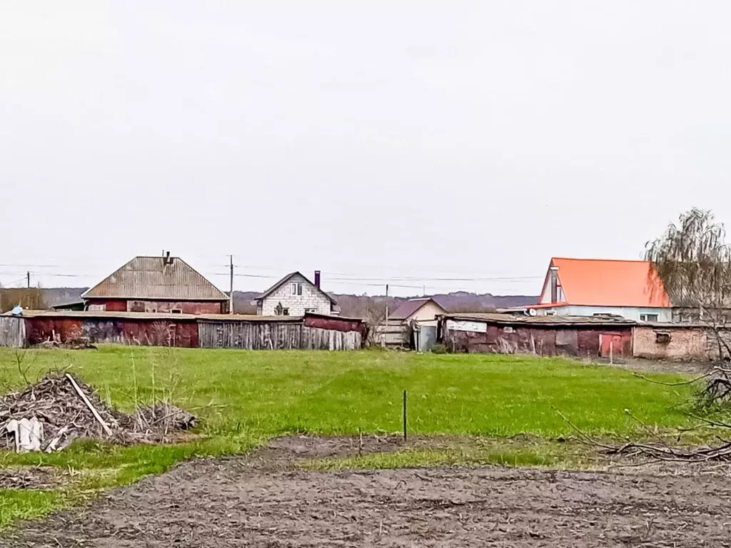 Дом в Воронежская область, Борисоглебский городской округ, с. Тюковка .,  Купить дом Тюковка, Борисоглебский район, ID объекта - 50010464326