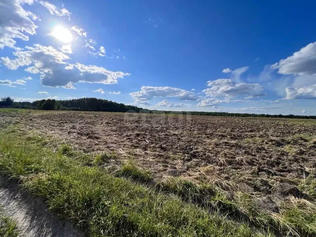 Участок в Брянская область, Карачевский район, Мылинское с/пос, д. ... - Фото 1