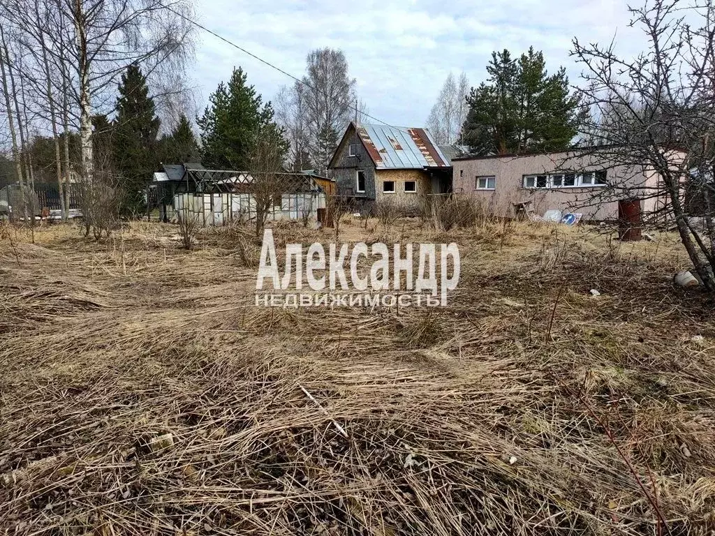 Участок в Ленинградская область, Кировский район, Горы-3 садовое ... - Фото 0