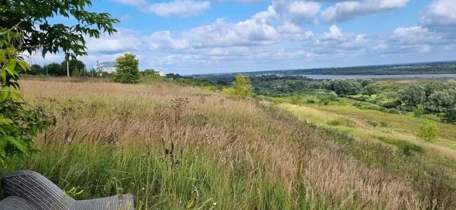 Участок в Владимирская область, Муром с. Панфилово, ул. Школьная, 99 ... - Фото 1