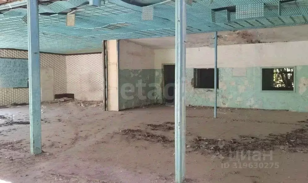 Торговая площадь в Крым, Раздольненский район, Славновское с/пос, с. ... - Фото 1