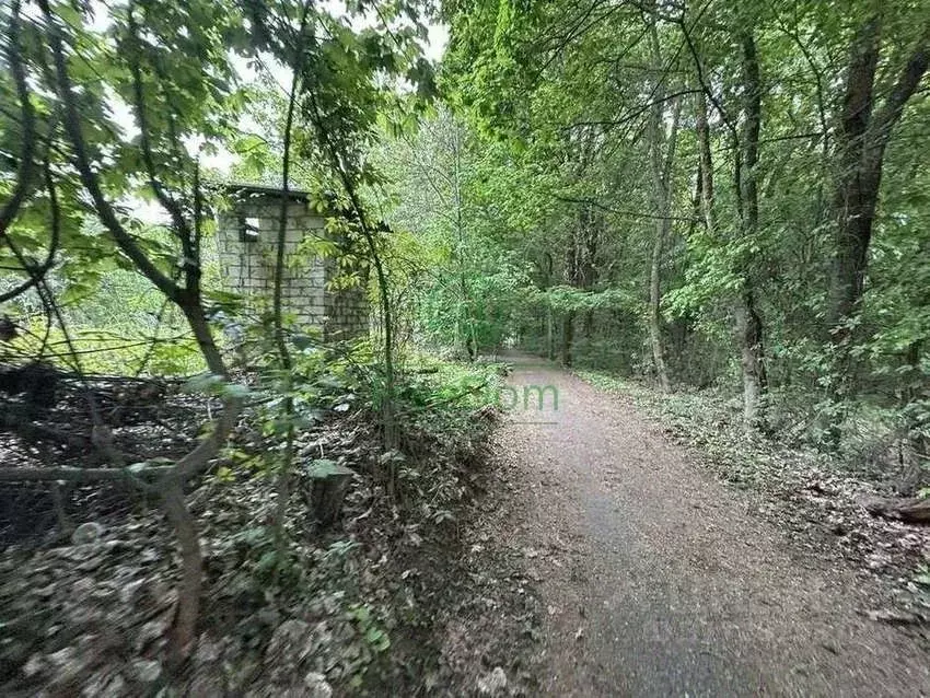 Участок в Белгородская область, Белгородский район, Беломестненское ... - Фото 0