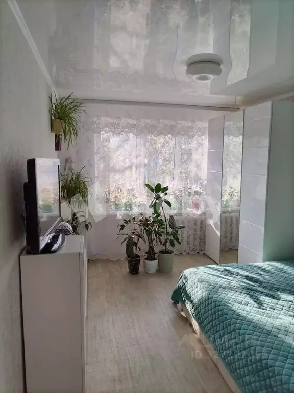 1-к кв. Калининградская область, Светлый Коммунистическая ул., 5 (35.5 ... - Фото 1