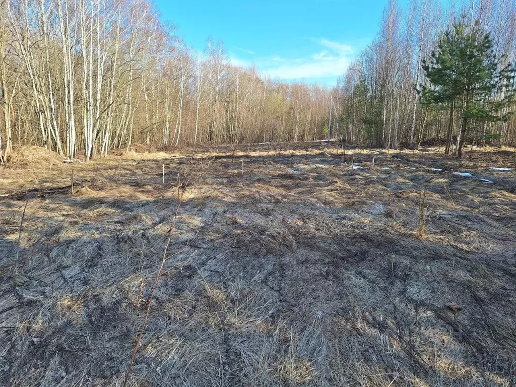 Участок в Московская область, Кашира городской округ, д. Смирновка  ... - Фото 1