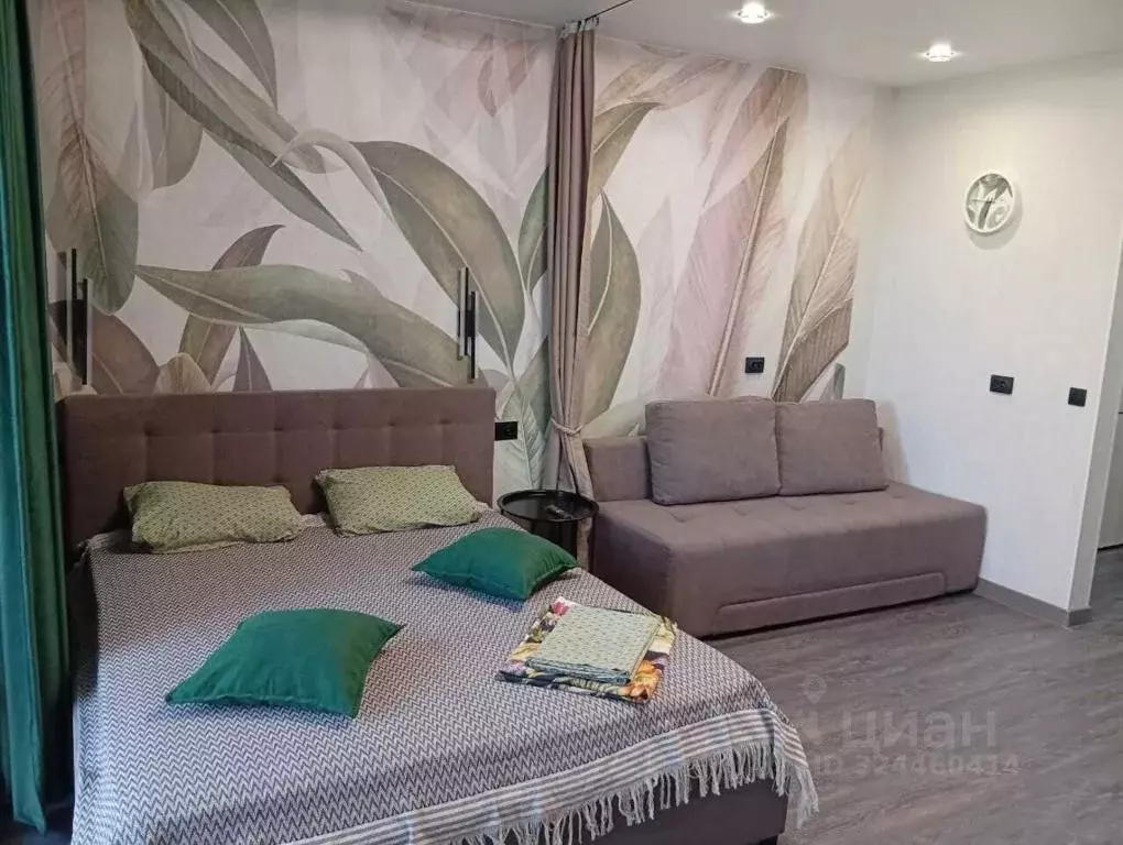 1-к кв. Амурская область, Благовещенск ул. Островского, 116 (30.0 м) - Фото 2