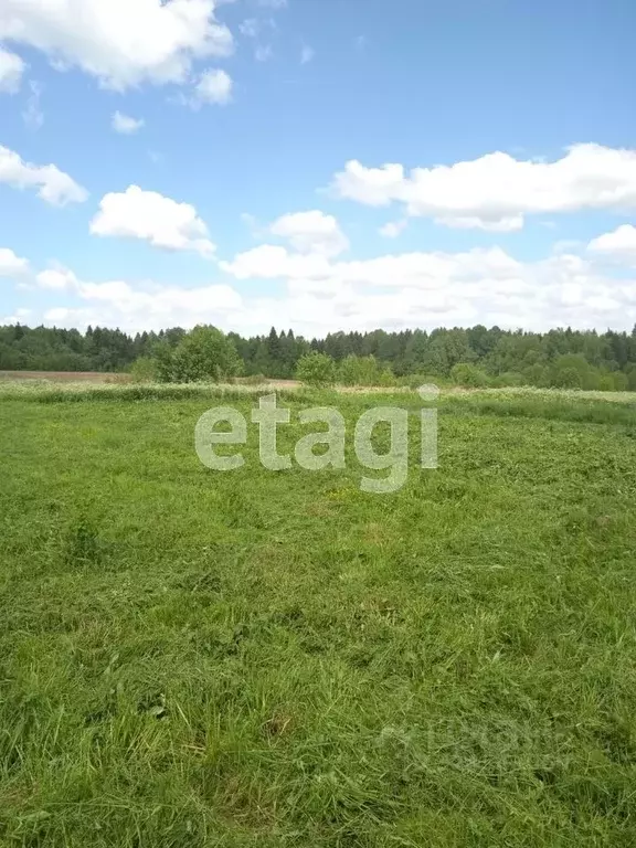 Участок в Вологодская область, Грязовецкий муниципальный округ, ... - Фото 1