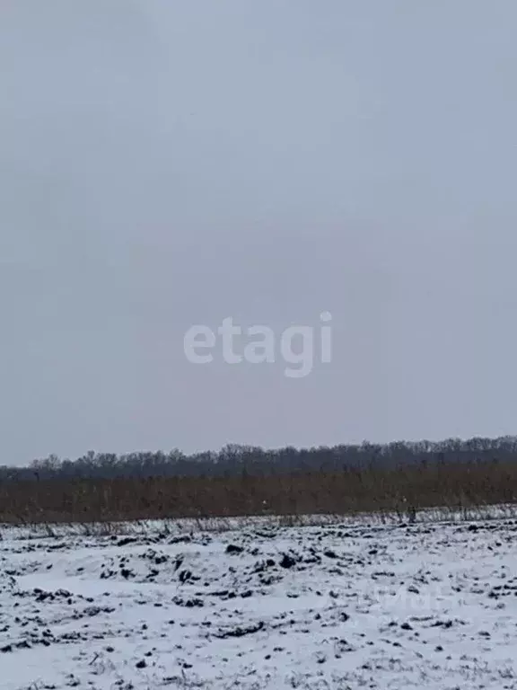 Участок в Белгородская область, Белгородский район, Головинское с/пос, ... - Фото 1