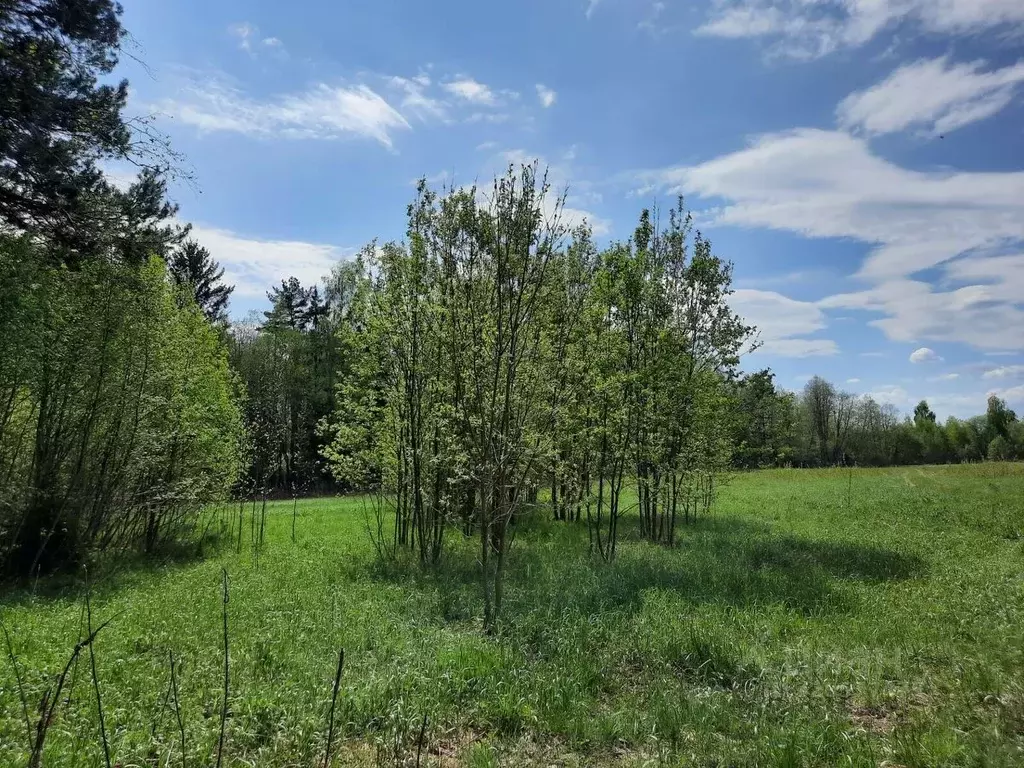 Участок в Ленинградская область, Лужский район, Заклинское с/пос, ... - Фото 1