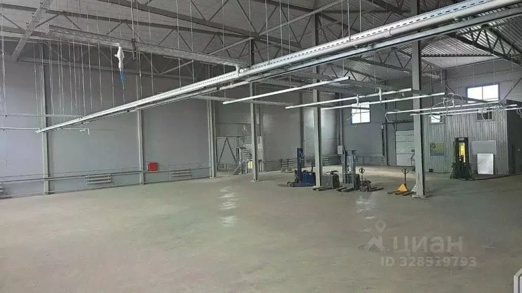 Склад в Московская область, Щелково ул. Мелиораторов, 3 (3100 м) - Фото 2