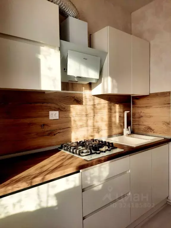 1-к кв. Самарская область, Волжский район, Лопатино с/пос, пос. ... - Фото 2