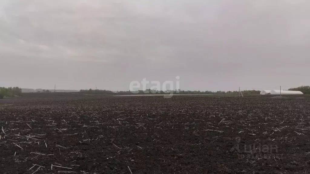 Участок в Белгородская область, Белгородский район, Дубовское с/пос, ... - Фото 1