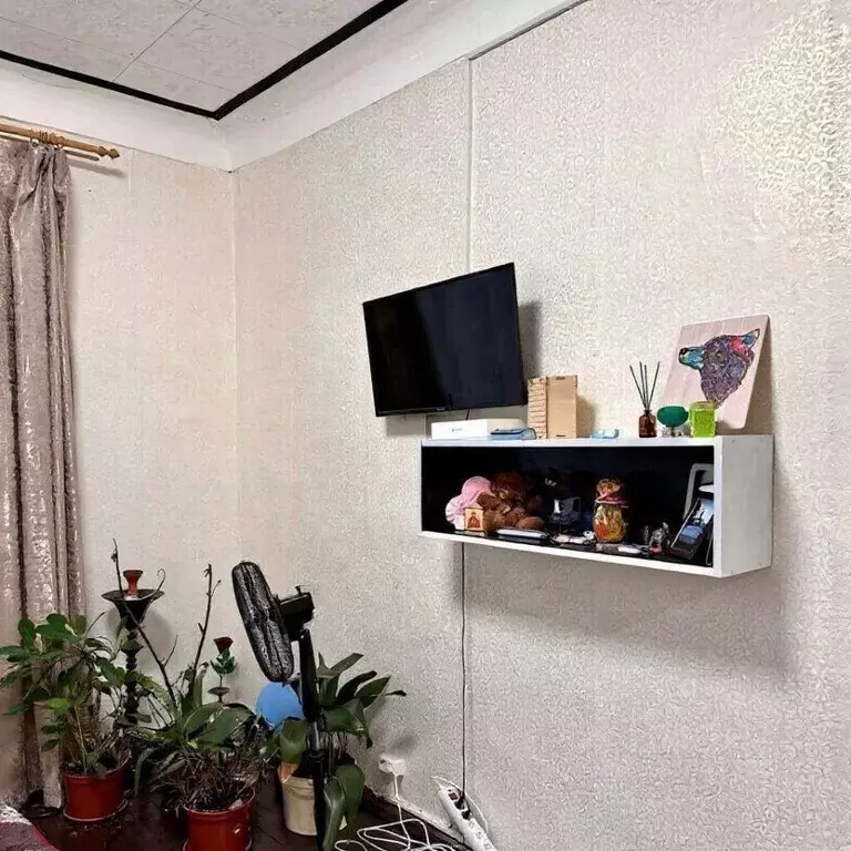 1-к кв. Ленинградская область, Кировск ул. Кирова, 29 (40.4 м) - Фото 2