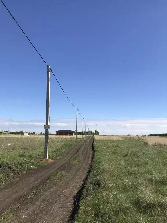 Участок в Воронежская область, Хохольский район, с. Петино ул. ... - Фото 1