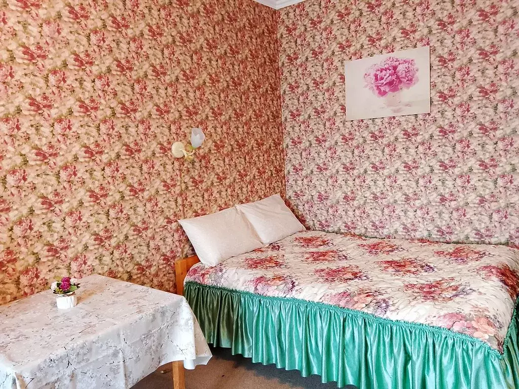 Студия Санкт-Петербург ул. Ушинского, 3к3 (26.0 м) - Фото 1