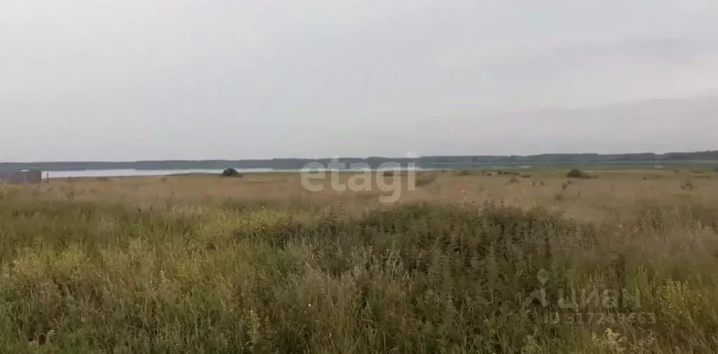 Участок в Челябинская область, Каслинский район, д. Знаменка  (40.0 ... - Фото 0