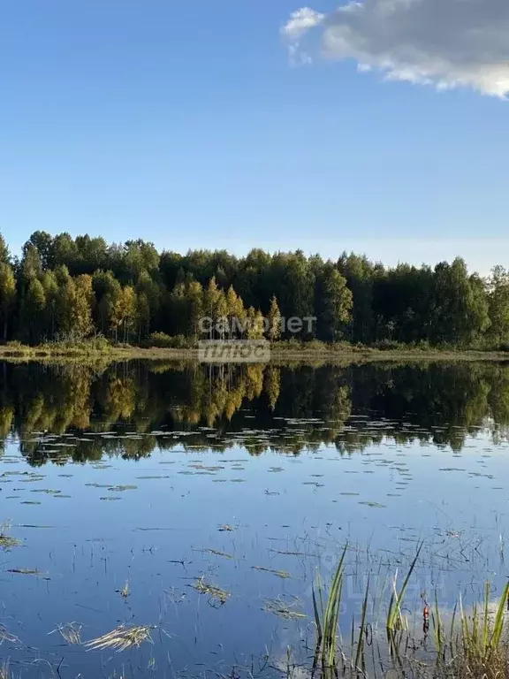 Участок в Карелия, Пряжинский район, Ведлозерское с/пос, д. Лахта 10 ... - Фото 0