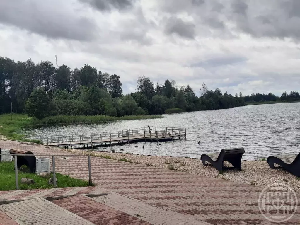 2-к кв. Псковская область, Палкино рп ул. Изборская (46.5 м) - Фото 1