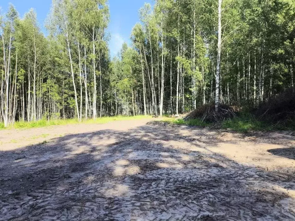 Участок в Нижегородская область, Кстовский муниципальный округ, с. ... - Фото 0