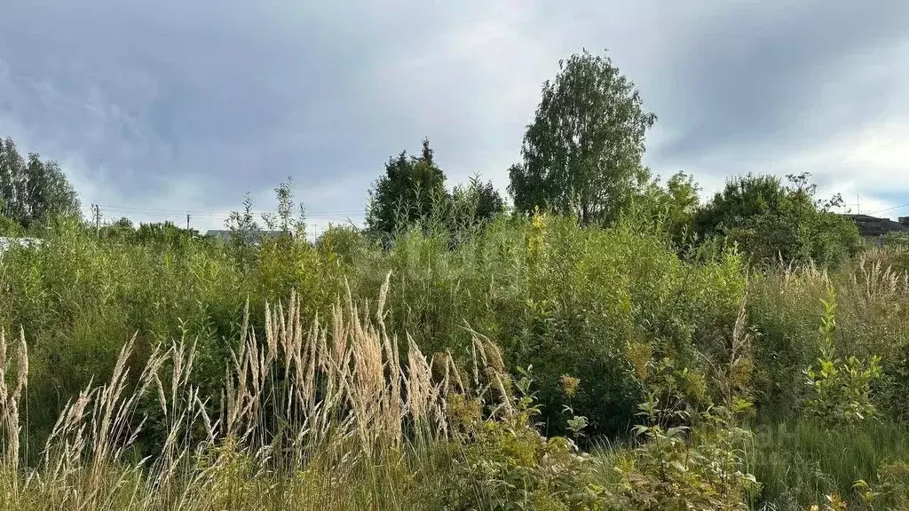 Участок в Вологодская область, Череповецкий район, Судское с/пос, пос. ... - Фото 1