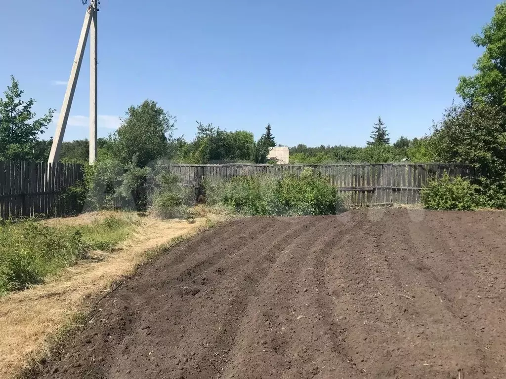 Дом в Омская область, Омск Дзержинец СНТ,  (25 м) - Фото 0