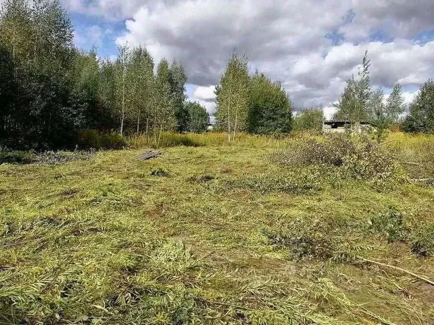 Участок в Брянская область, Брянск  (5.0 сот.) - Фото 2