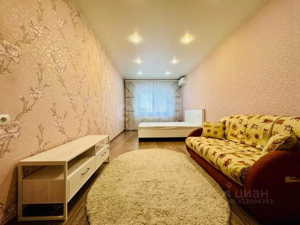 1-к кв. Амурская область, Благовещенск Конная ул., 33 (36.0 м) - Фото 1