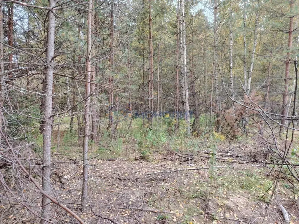 Участок в Нижегородская область, Городецкий муниципальный округ, д. ... - Фото 2