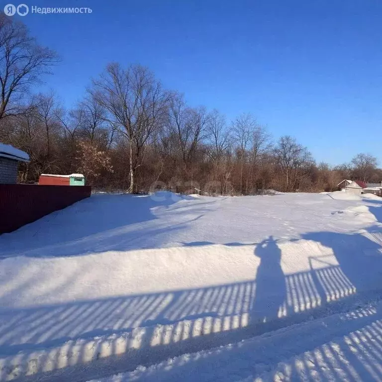 Участок в Наумовский сельсовет, СНТ Зелёный Затон (4 м) - Фото 1