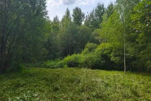 Участок в Новгородская область, Новгородский район, Савинское с/пос, ... - Фото 2