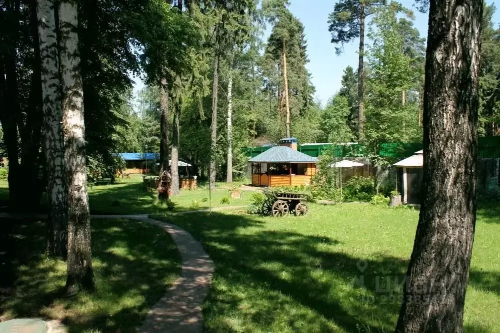 Комната Московская область, Пушкино Мамонтовка мкр, ул. Куйбышева, 23А ... - Фото 2