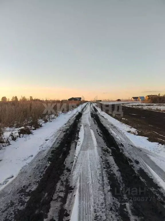 Участок в Новосибирская область, Новосибирский район, Морской ... - Фото 1