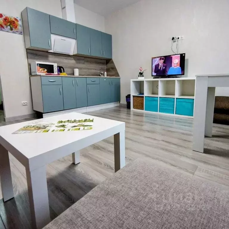 Студия Москва, Москва, Московский г. ул. Солнечная, 3Ас3 (25.0 м) - Фото 2