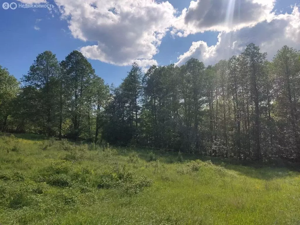 Участок в Горячий Ключ, улица Ковалёвой (14 м) - Фото 1