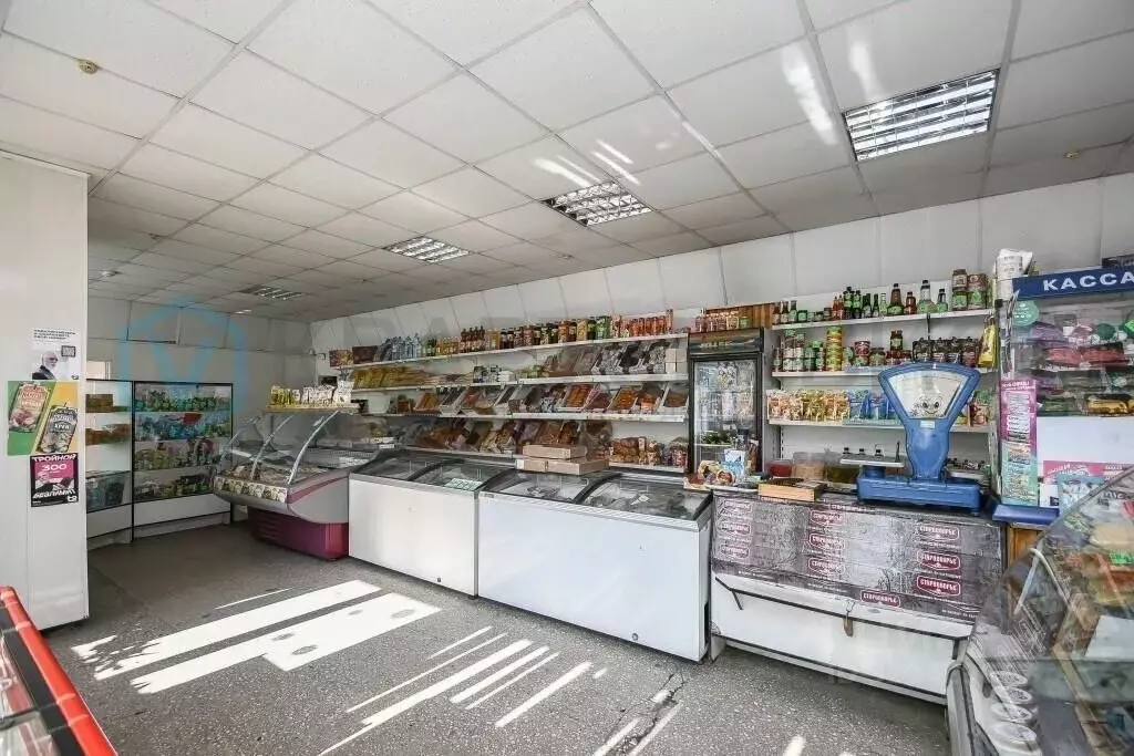 Торговая площадь в Омская область, Омск ул. Гусарова, 33к8 (308 м) - Фото 1