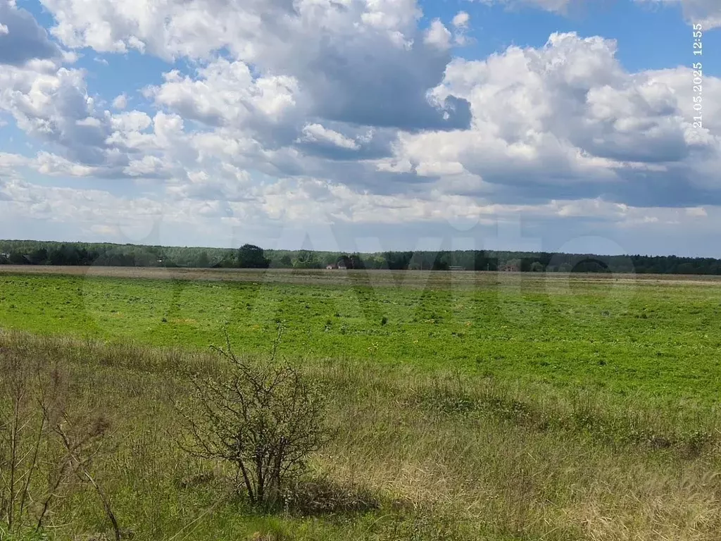Участок 33,6 га (СНТ, ДНП) - Фото 0