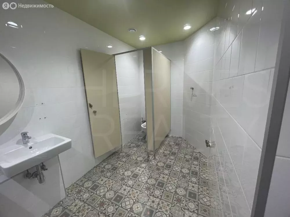 Помещение свободного назначения (765.5 м) - Фото 1