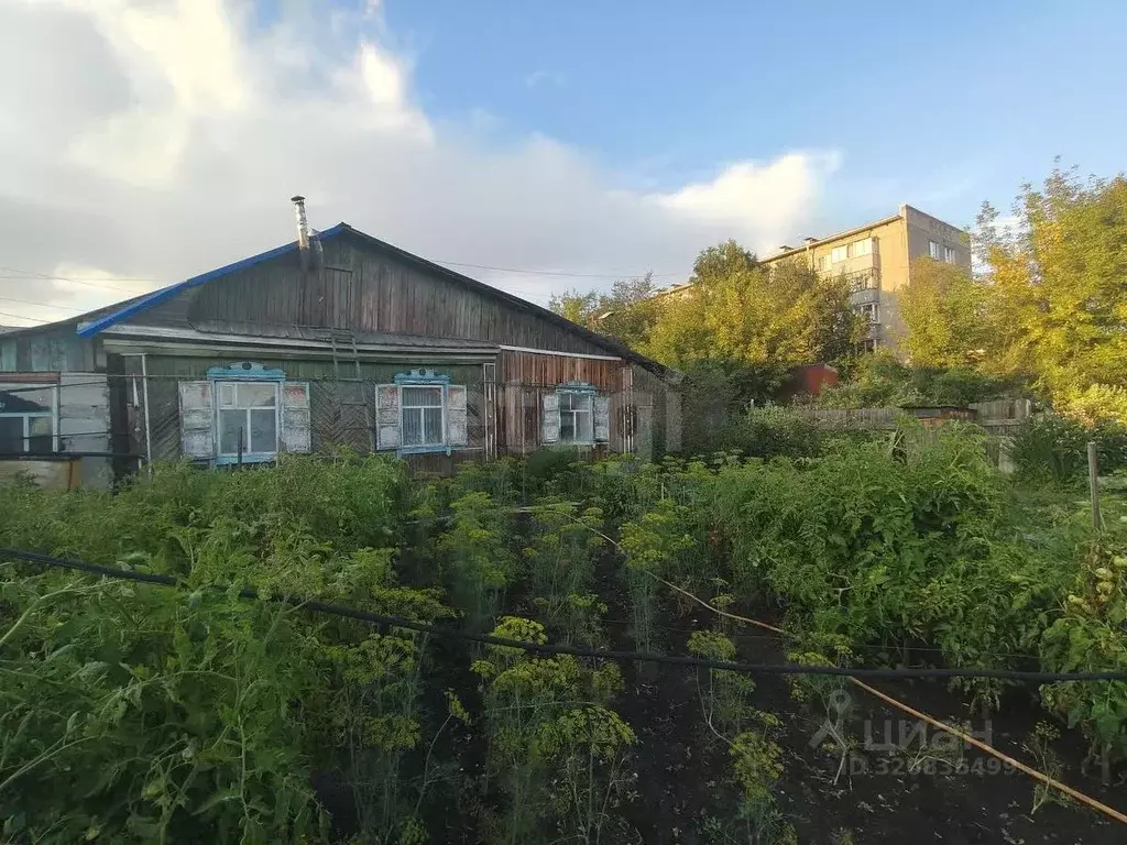 Дом в Курганская область, Шадринск ул. Панфилова, 42 (75 м) - Фото 1
