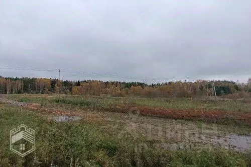 Участок в Новгородская область, Новгородский район, Савинское с/пос, ... - Фото 2