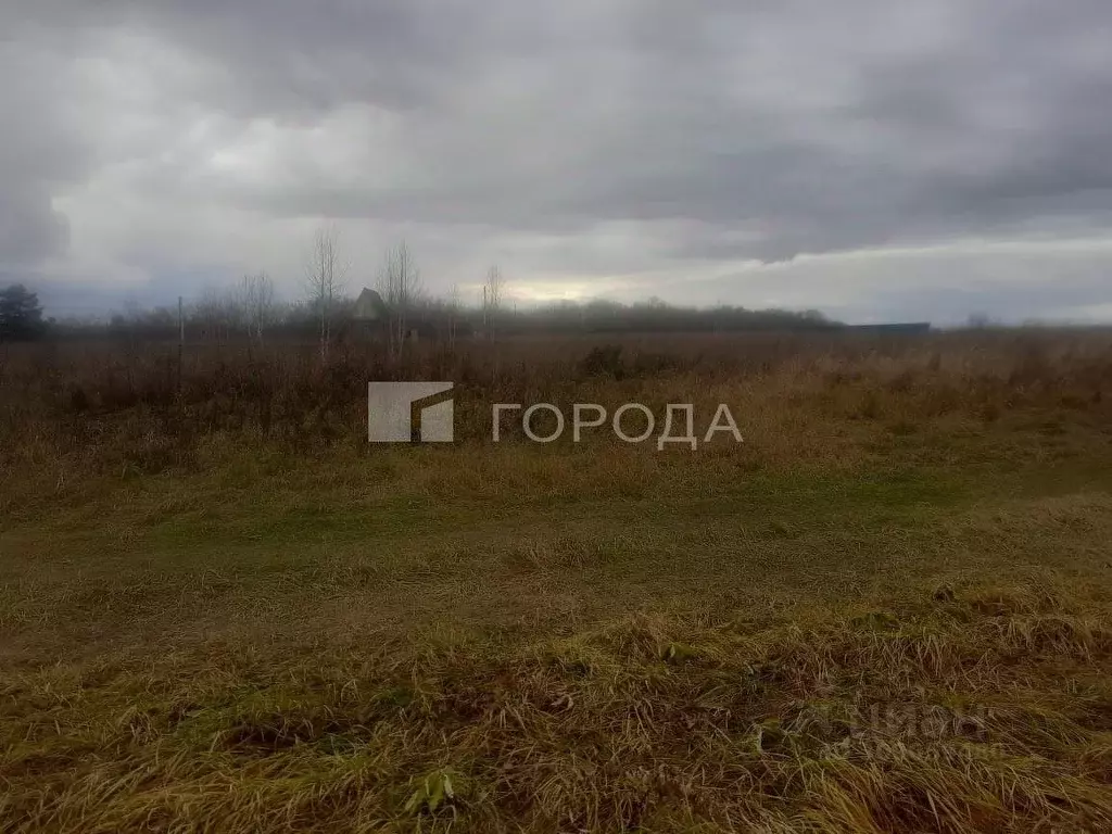 Участок в Кемеровская область, Новокузнецкий муниципальный округ, с. ... - Фото 1