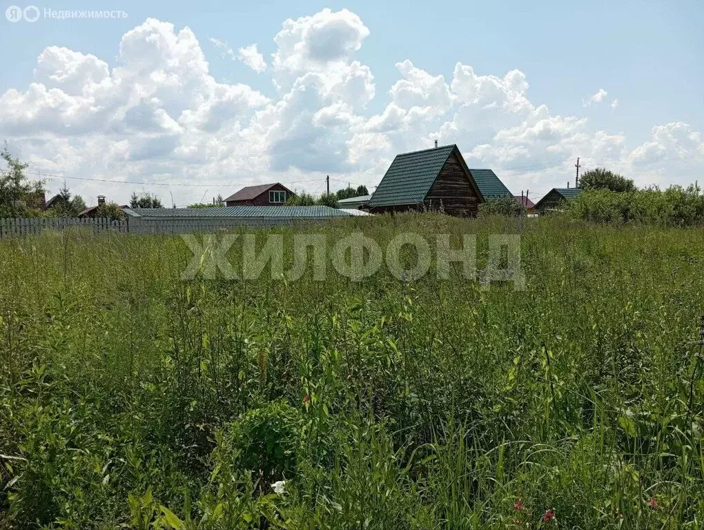 Участок в Новосибирская область, рабочий посёлок Колывань (11.8 м) - Фото 1