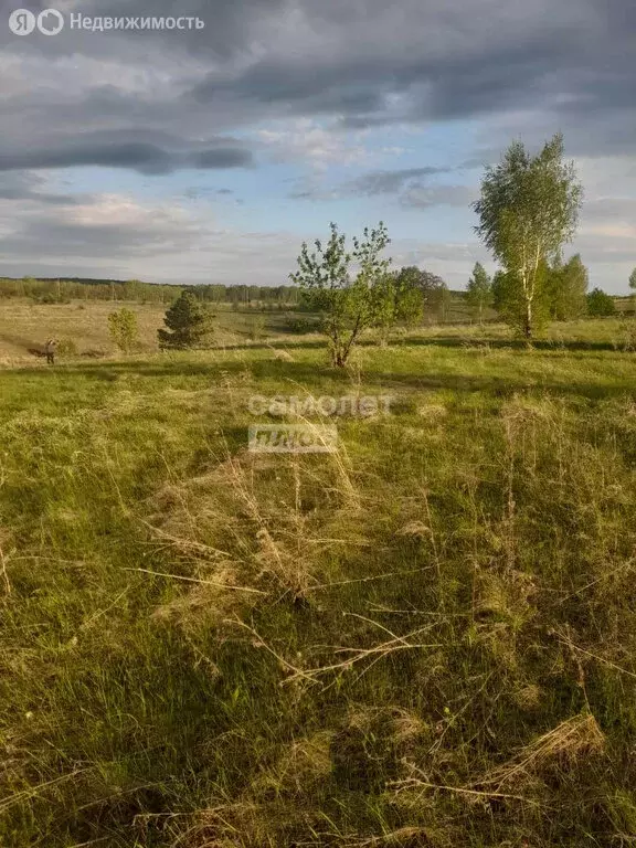 Участок в Октябрьский, микрорайон Приозёрный, Звёздная улица (8 м) - Фото 2
