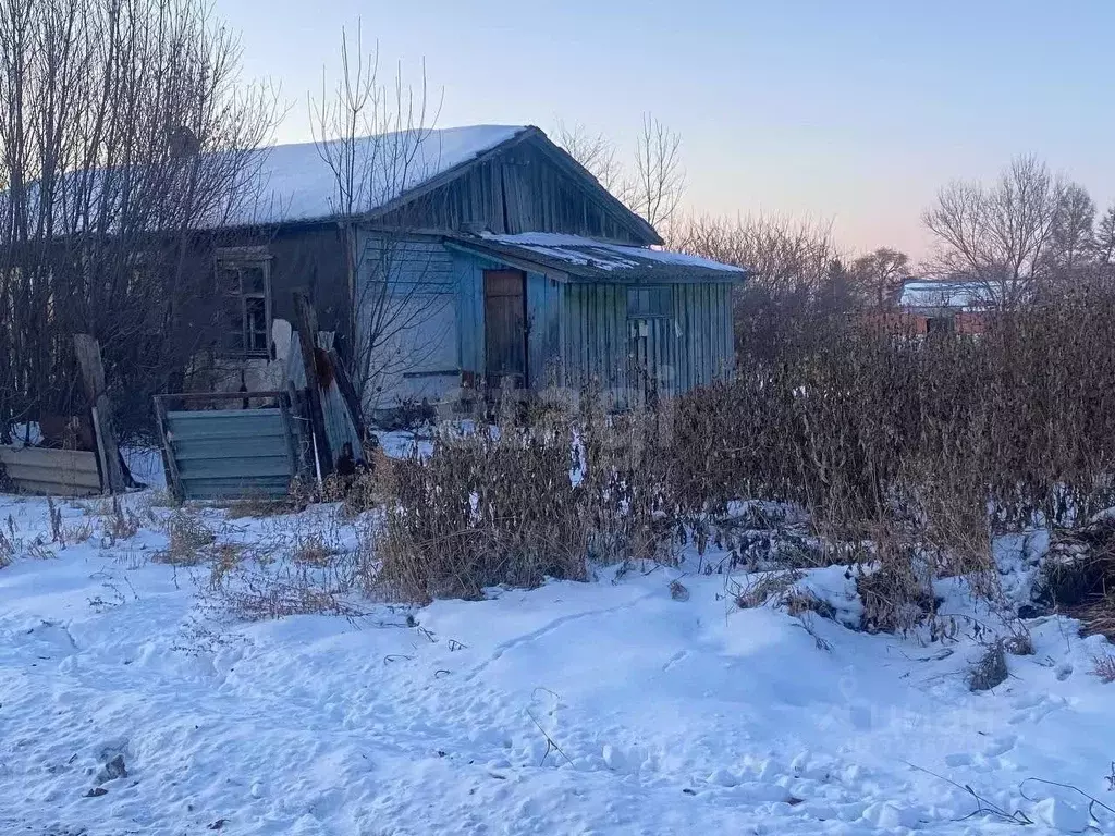 2-к кв. Амурская область, Тамбовский муниципальный округ, с. Лозовое ... - Фото 1