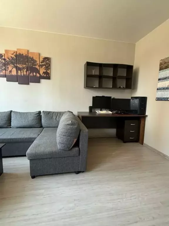 Студия Московская область, Реутов Транспортная ул., 27 (25.6 м) - Фото 2