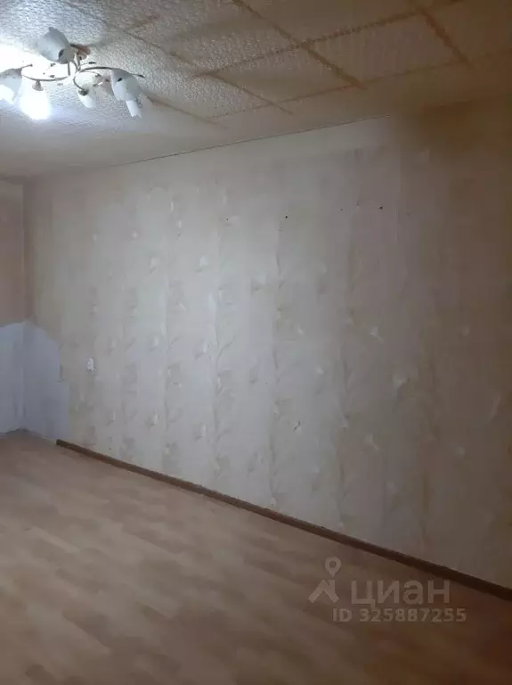 1-к кв. Волгоградская область, Волгоград Грушевская ул., 11 (31.0 м) - Фото 2