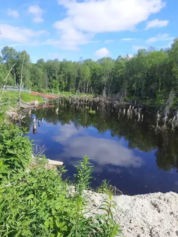 Участок в Мурманская область, Кольский район, Кильдинстрой городское ... - Фото 0