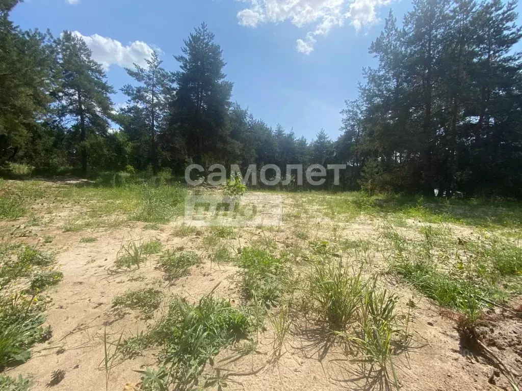 Участок в Курская область, Курский район, Моковский сельсовет, д. ... - Фото 1
