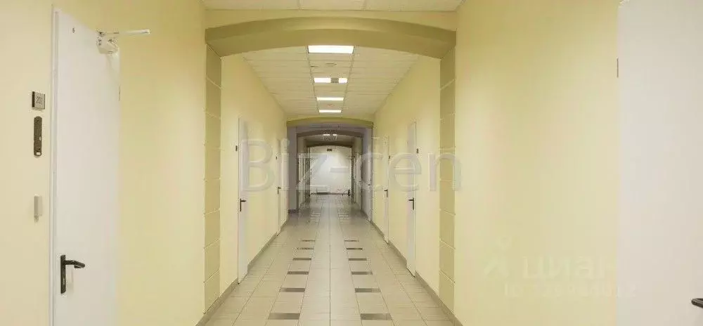 Офис в Санкт-Петербург ул. Чапаева, 5 (366 м) - Фото 1